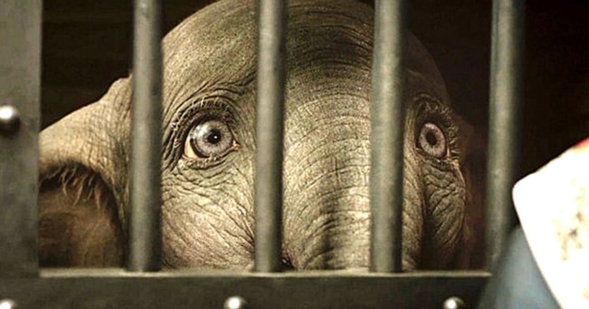 2 3.jpg?resize=1200,630 - La trágica historia de Jumbo, el elefante que inspiró las películas de Dumbo