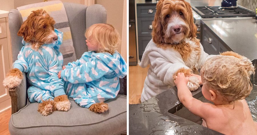 a4 12.jpg?resize=412,275 - Melhores amigos – Fotógrafo registra o amor e amizade entre seu neto e um cão.