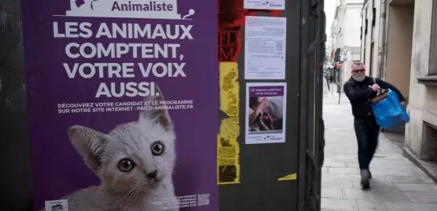 animaliste lobs.jpg?resize=1200,630 - Le Parti animaliste est arrivé en tête dans un village de France