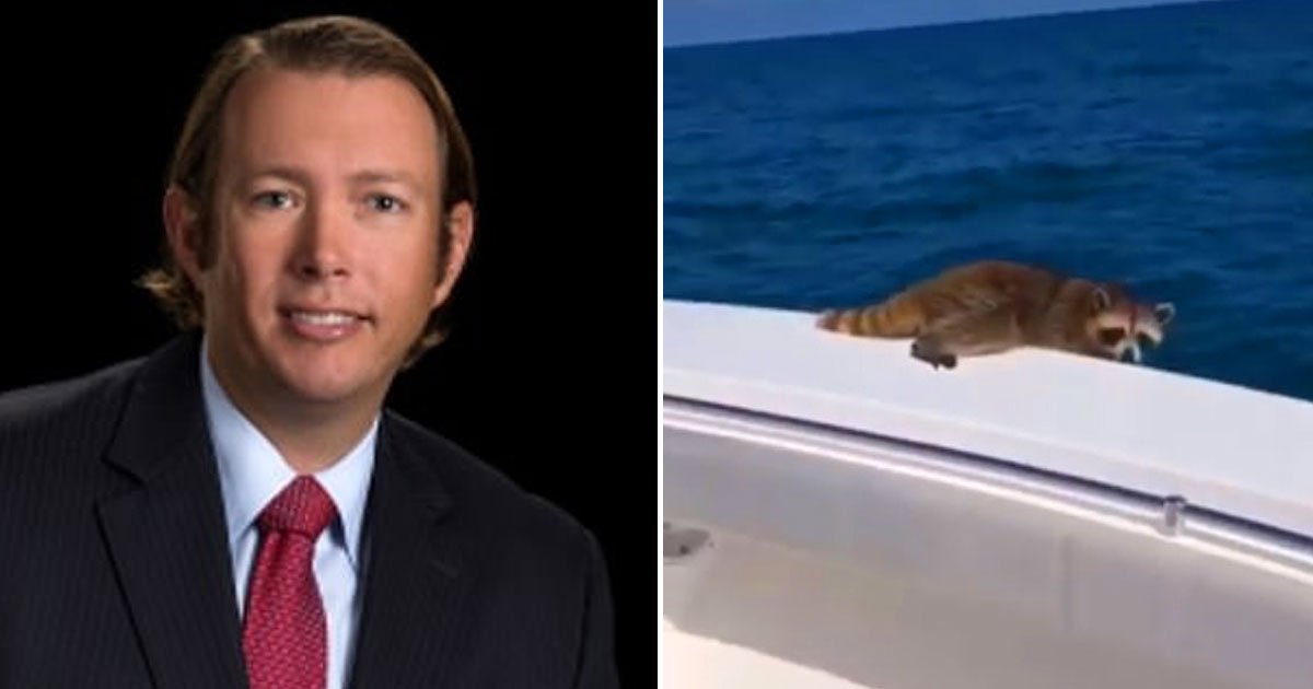 attorney slammed raccoon.jpg?resize=412,232 - Florida Attorney Slammed For Posting A Video Of Him Shooing A Raccoon Off Of His Boat Into The Water