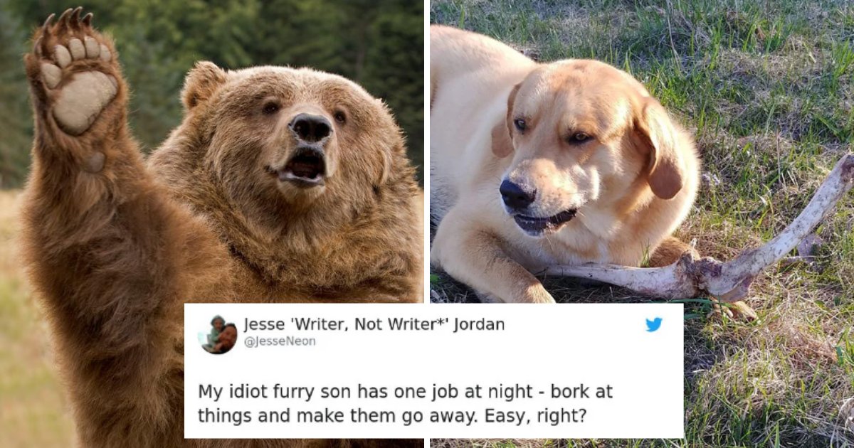 bear.png?resize=1200,630 - The Hilarious Reason Why A Bear Gives Deer Bones To Guard Dog Is Taking The Internet By Storm!