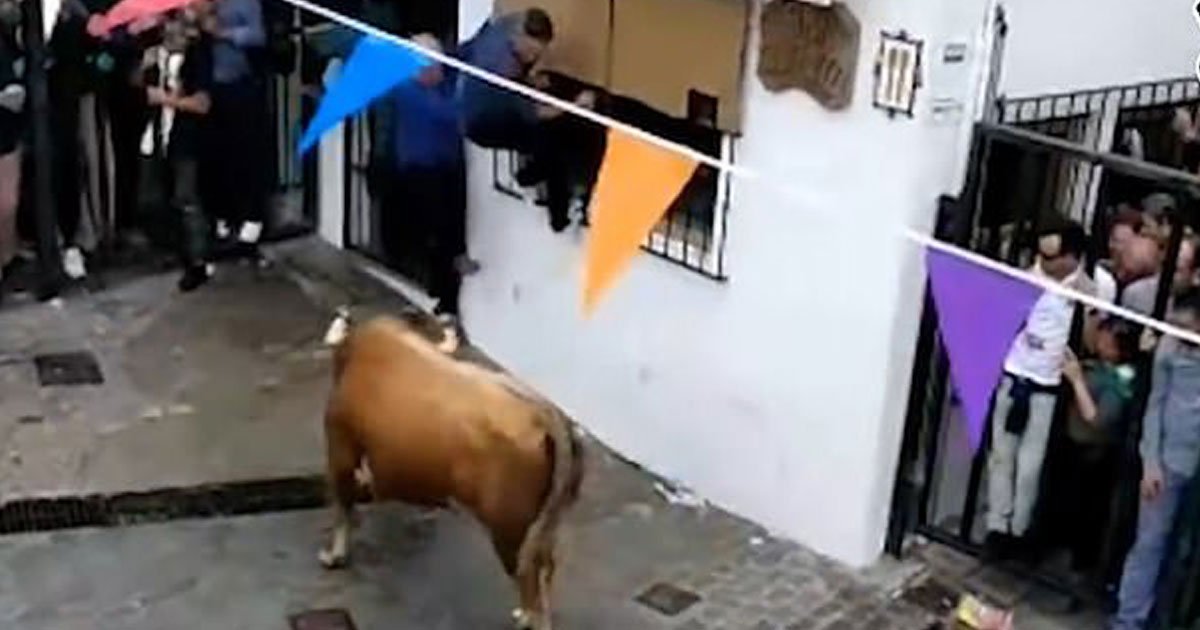 bull killed man.jpg?resize=412,232 - 74-Year-Old Man Lost His Life After A Bull Attacked Him At A Bull-Running Festival