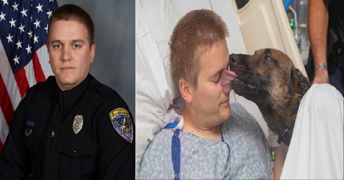 d3 9.jpg?resize=412,275 - K9 Officer's Furry Partner Visited Him At The Hospital As He Was Recovering From A Shooting