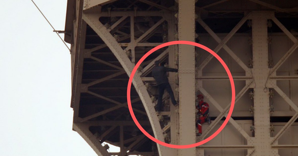 Police Arrests The Man Who Climbed Halfway Up To The Eiffel Tower ...