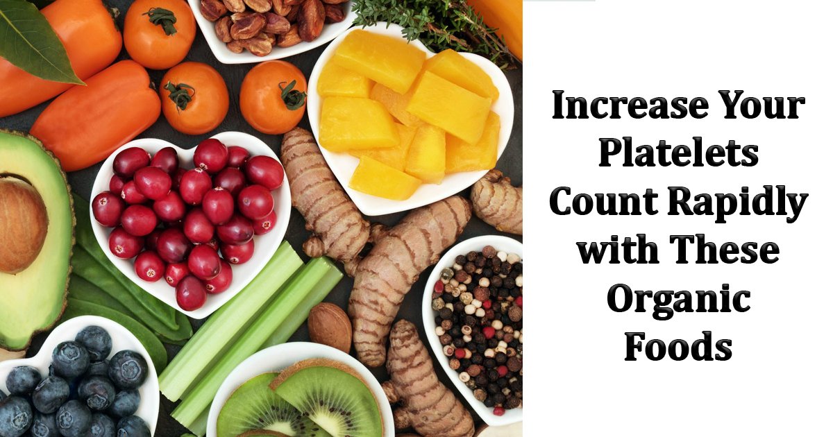 dsdfs.jpg?fit=1024%2C538&ssl=1&strip=all - Increase Your Platelets Count Rapidly With These Organic Foods