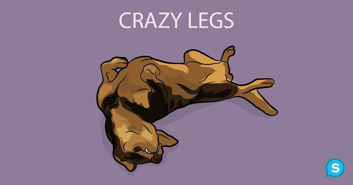 crazy legs