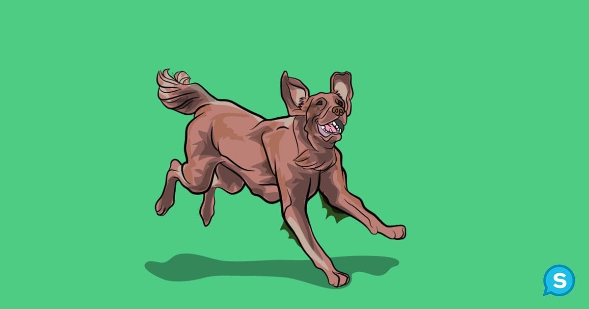 enthusiastic