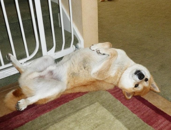 upside-down