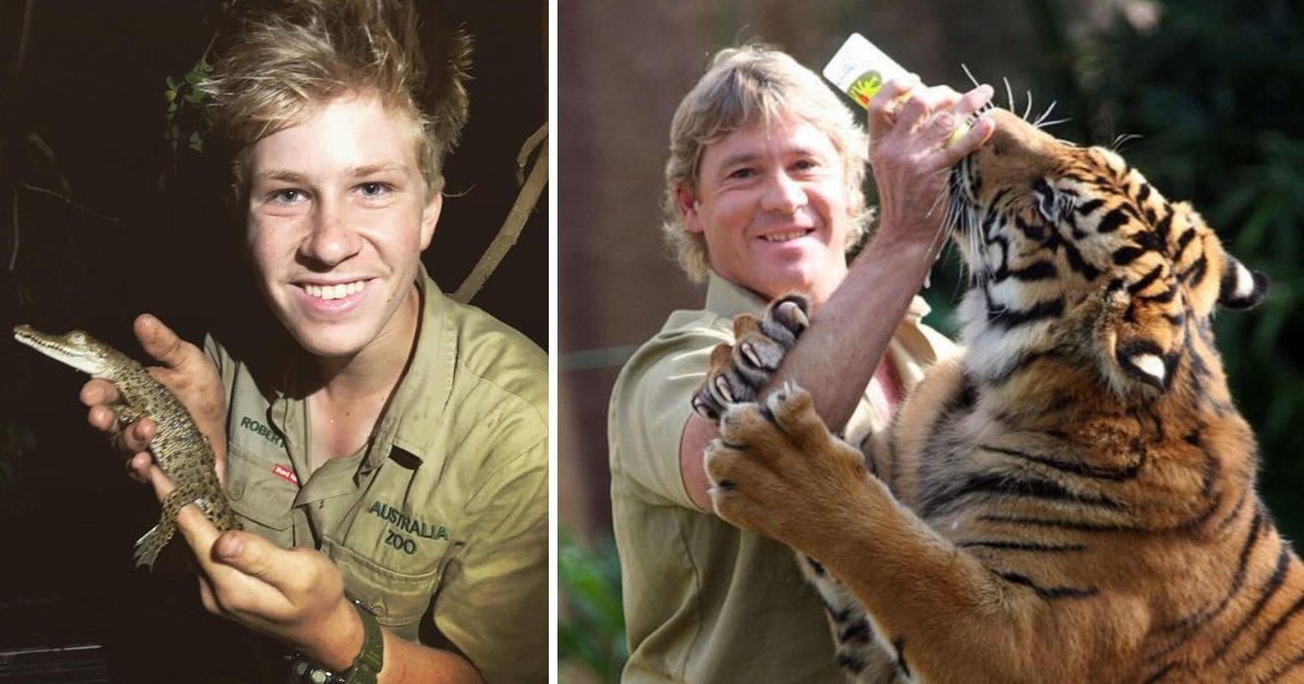 featured image 51.png?resize=1200,630 - Le fils de Steve Irwin a déclaré qu'il était heureux de vivre une vie pleine de rencontres dangereuses avec des animaux sauvages