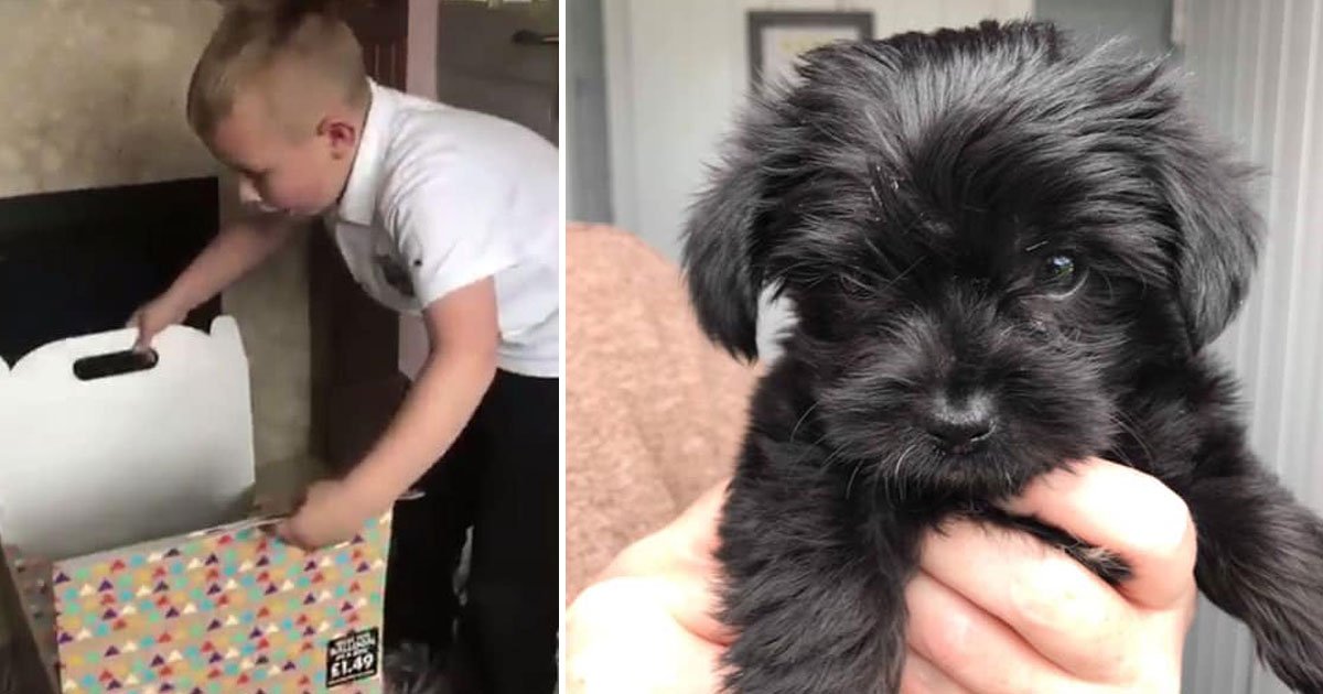 grandparents gifted pup grandson.jpg?resize=1200,630 - Grandson Overjoyed After Grandparents Gifted Him A Puppy