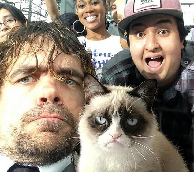 Internet Star Grumpy Cat Has Passed Away At The Age Of Seven Small Joys 