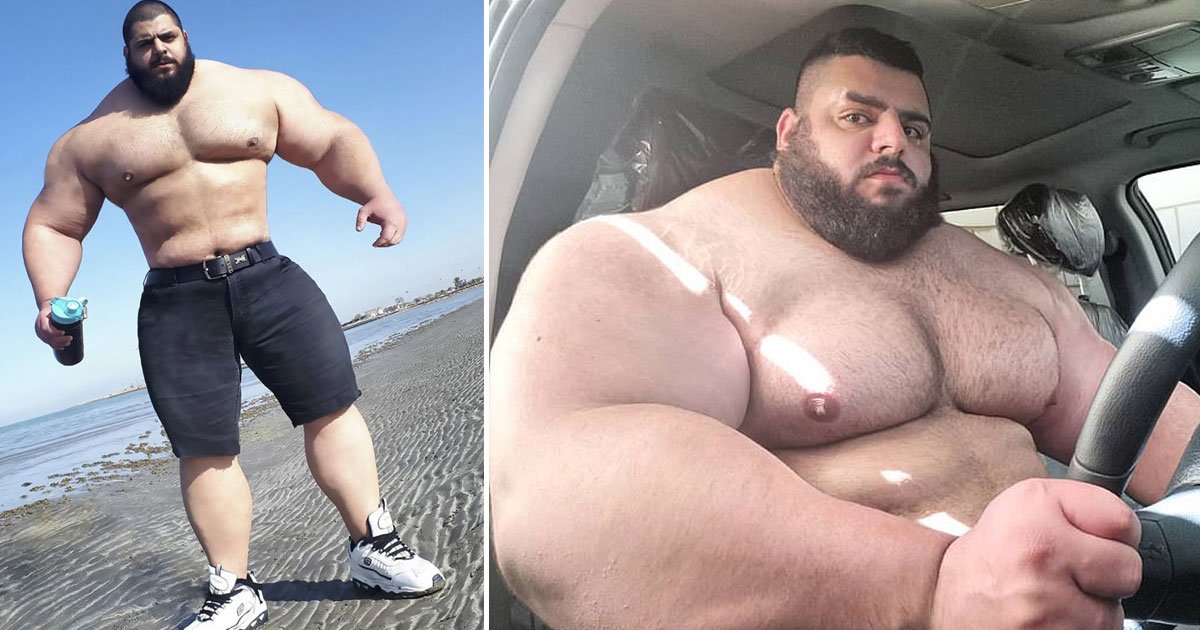 iranian hulk sajad gharibi.jpg?fit=1024%2C538&ssl=1&strip=all - Iranian Hulk Sajad Gharibi To Make His MMA Debut This Year