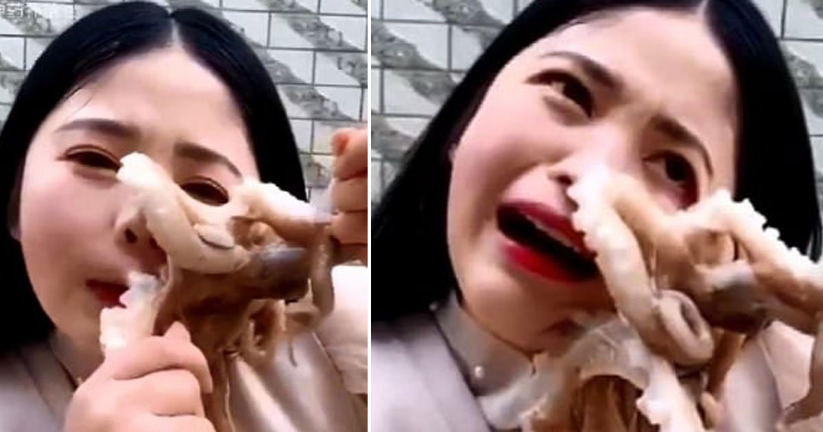 octopus sucked blogger face.jpg?resize=412,232 - Octopus Sucked Onto Blogger’s Face After She Tried To Eat It Alive