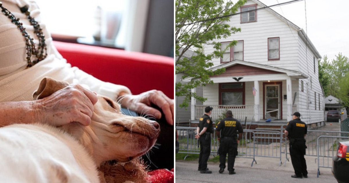 police2.png?resize=412,232 - Un adolescent a fait irruption au domicile d'une femme de 80 ans et a poignardé son petit chien
