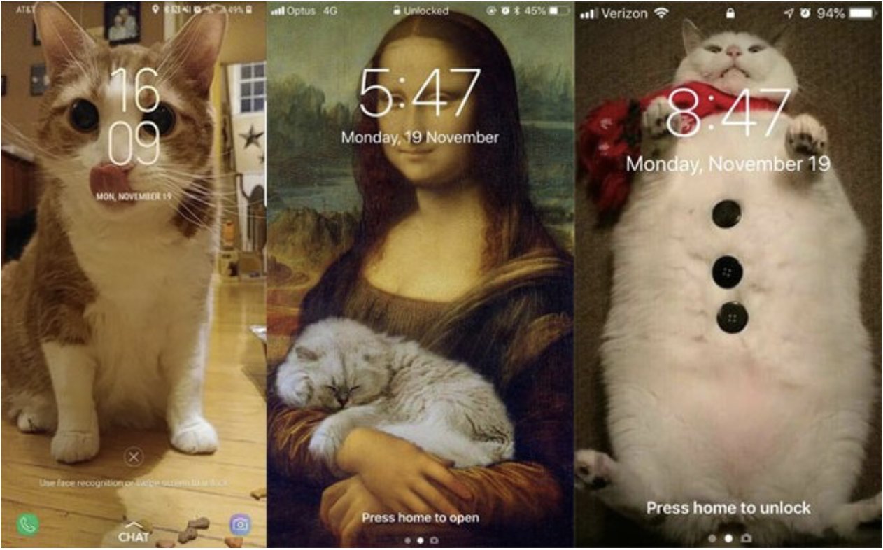 screen shot 2019 05 12 at 9 00 53 am.png?resize=412,232 - 28 Best Cat Lock Screens That Will Make You Turn Your Phone On