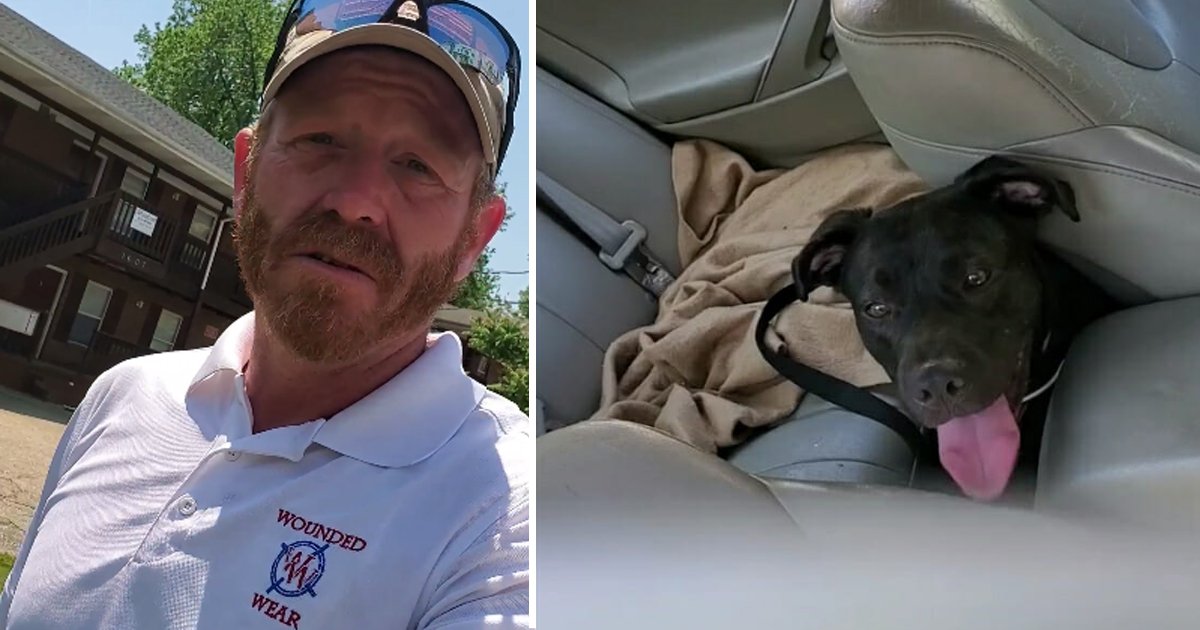 sdfsfds.jpg?resize=412,275 - This Army Veteran Saved a Puppy’s Life Who was Left in The Car on This Blazing Hot Day