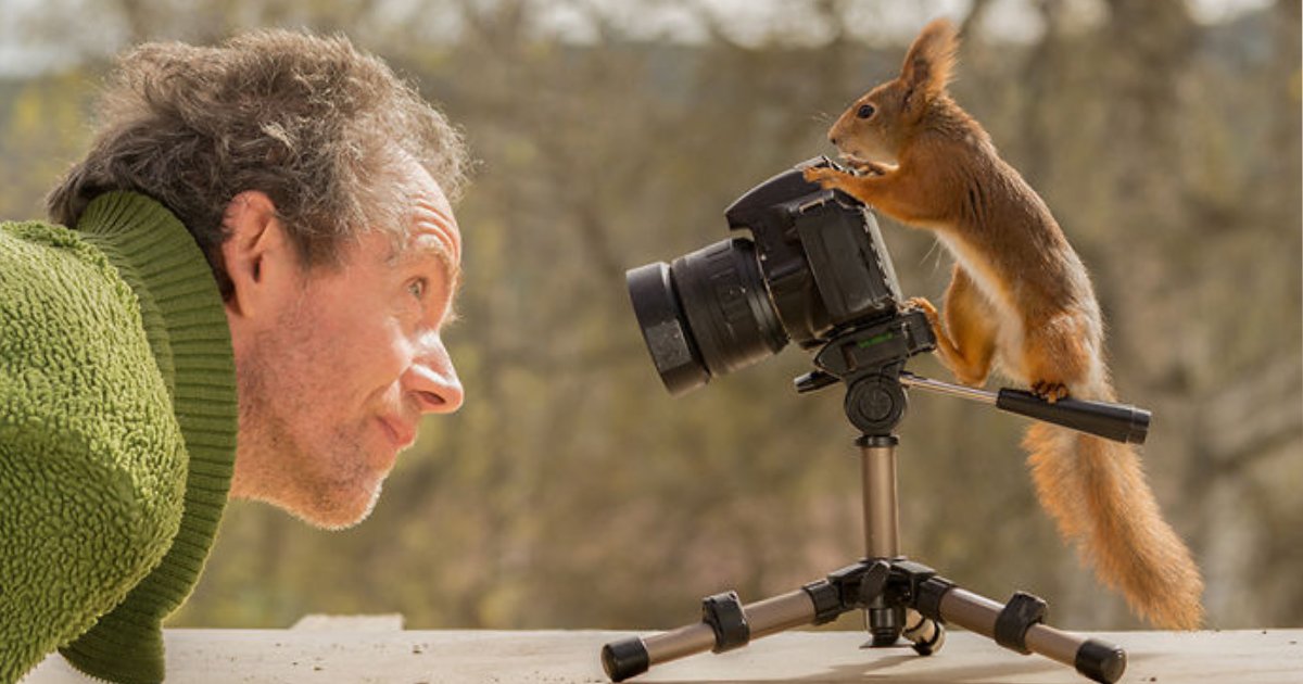 squirrels photos.png?resize=412,275 - 25+ Amazing Photos Of Red Squirrels From A Photographer Who Followed Them For Six Years