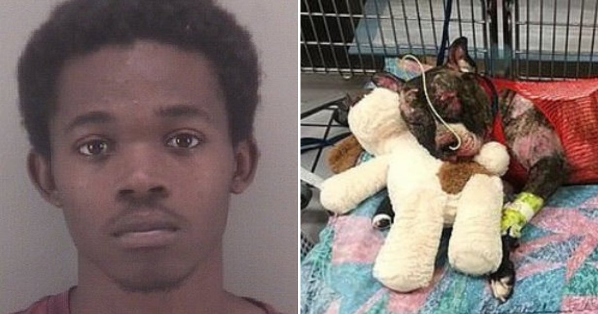 tommie5.png?resize=412,232 - 20-Year-Old Man Arrested For Tying A Dog To A Fence Before Setting Him On Fire