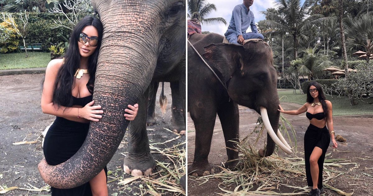 untitled design 13.png?resize=1200,630 - Kim Kardashian Slammed For Riding Elephants In An Elephant Sanctuary