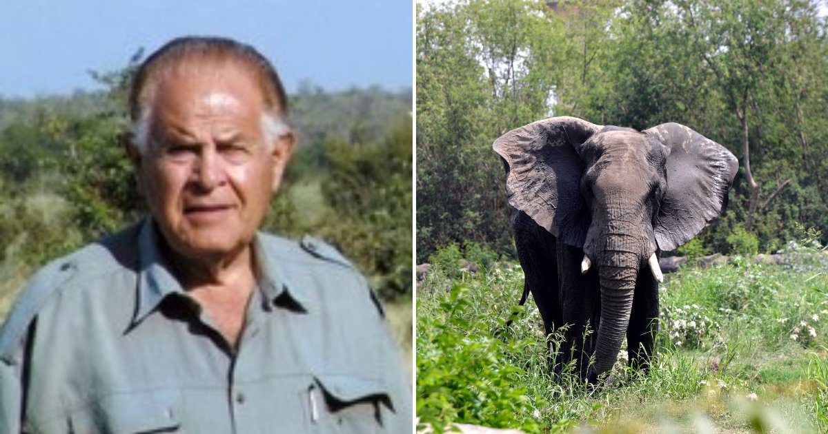 untitled design 29.png?resize=1200,630 - Un chasseur responsable de la mort de 1 300 éléphants a déclaré qu'ils allaient bientôt disparaître