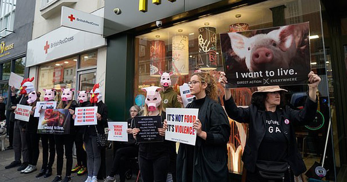 vegans protest.jpg?resize=1200,630 - Des végétaliens portant des masques de porc et de poulet ont protesté contre la cruauté envers les animaux chez McDonald's
