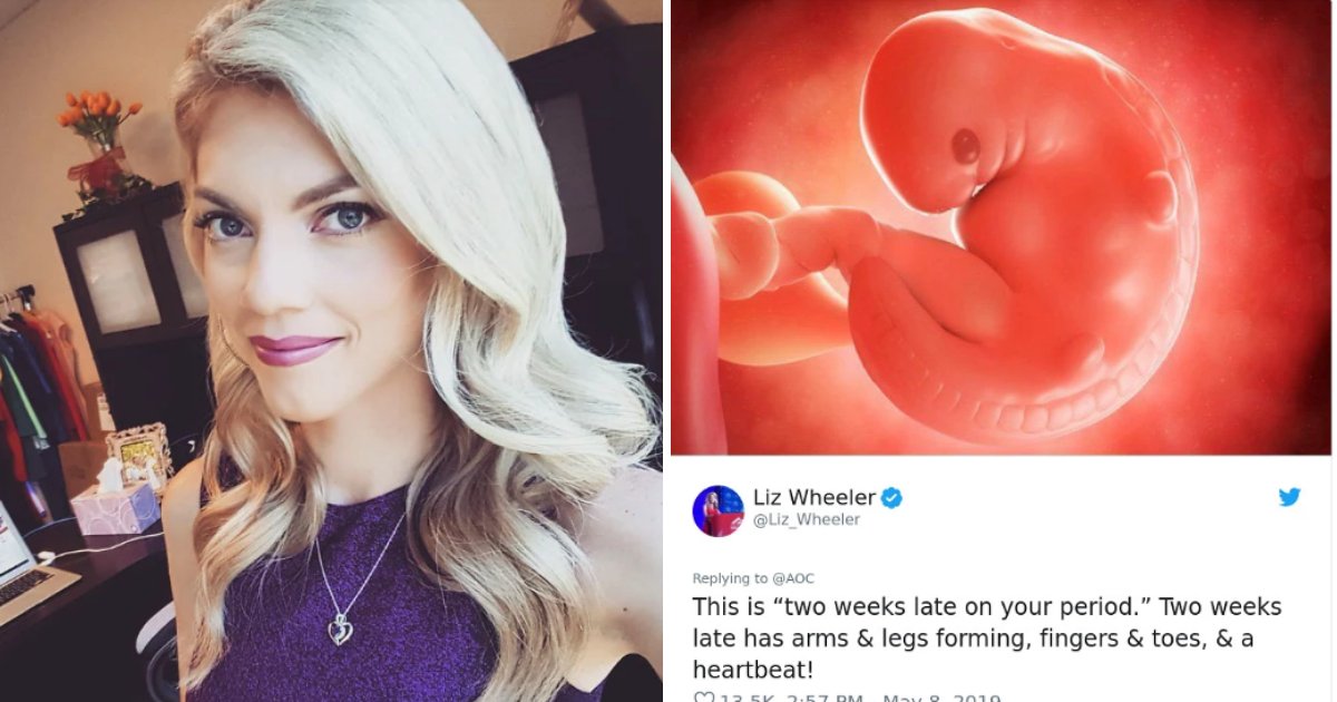 woman4.png?resize=412,275 - Woman Shared Photo Of 6-Week-Old Embryo To Shame Pro-Choicers