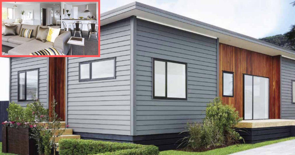 y1 11.png?resize=1200,630 - There Is A House Available In New Zealand for Less Than $100,000