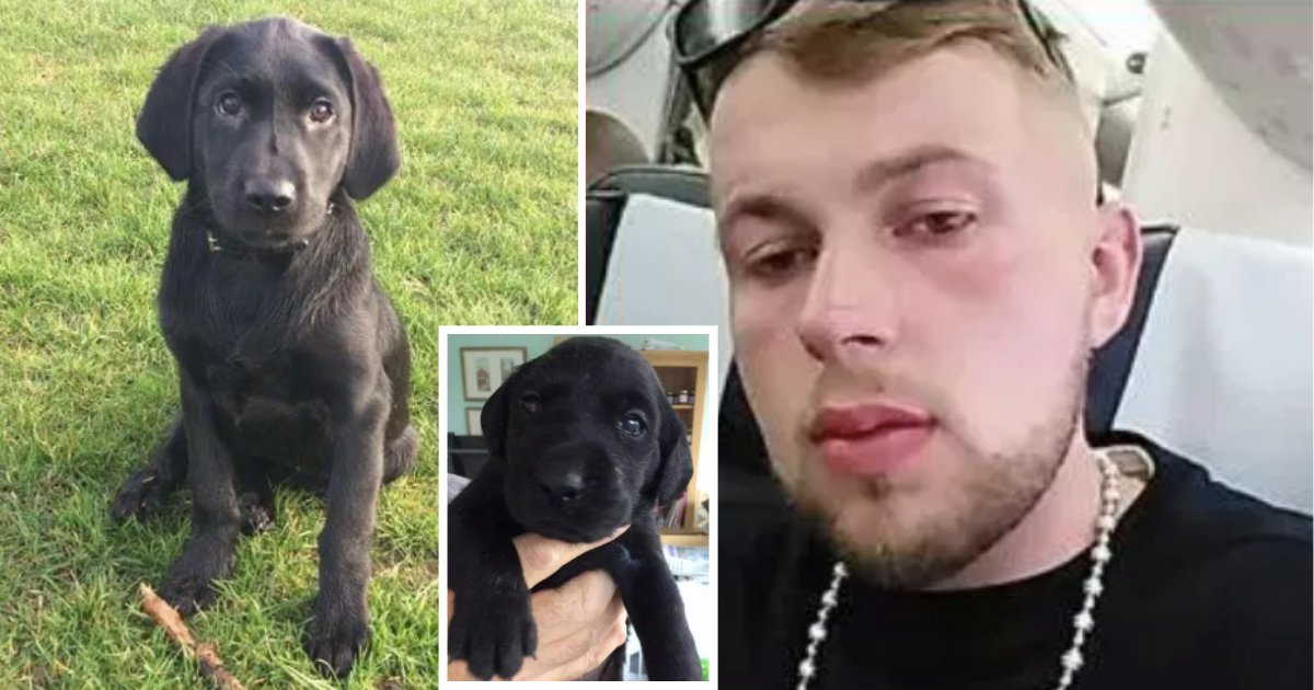 y3 15.png?resize=412,275 - This Cruel Kidnapper Beat The Innocent Puppy to Death and Is Now Behind Bars