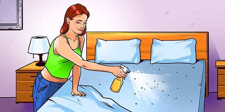 12 Ingeniosas maneras de eliminar las chinches de la cama para siempre