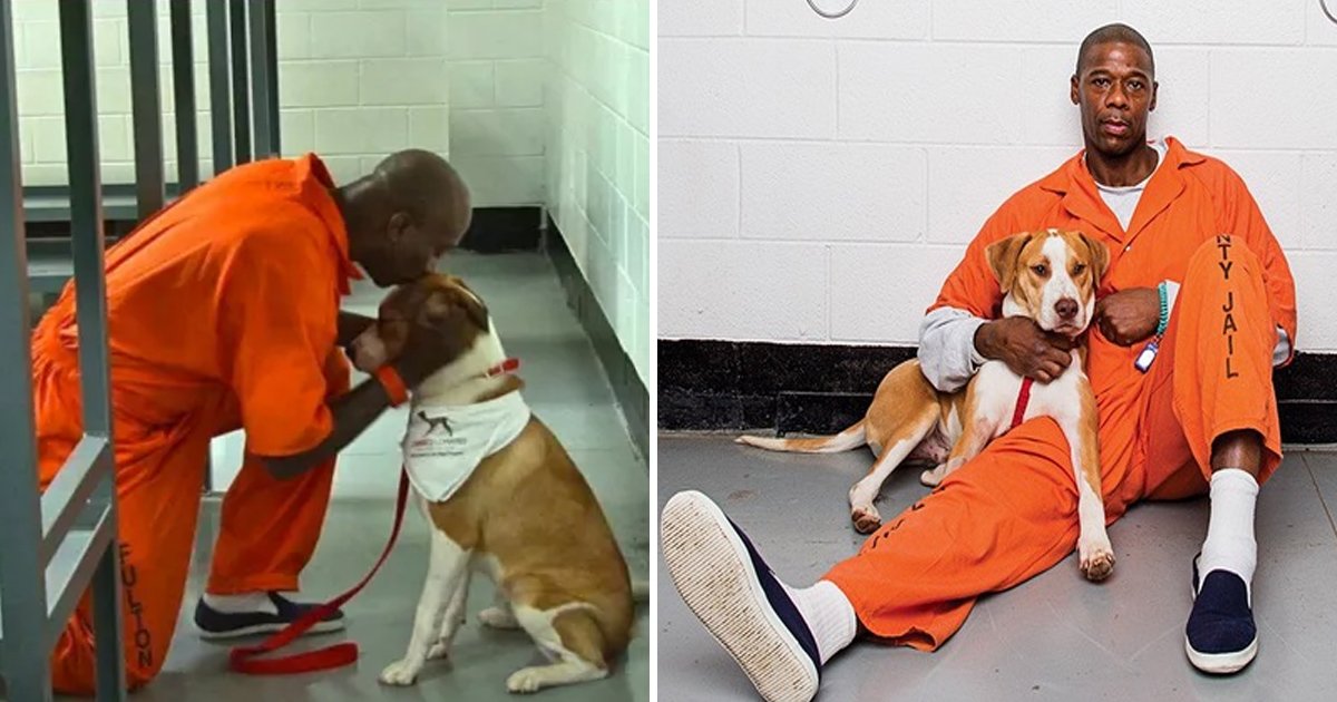 4 170.jpg?resize=1200,630 - Ces chiens en prison ont un effet magique sur les prisonniers et transforment radicalement leur vie
