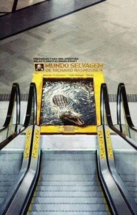 escaleras eléctricas con publicidad de natgeo