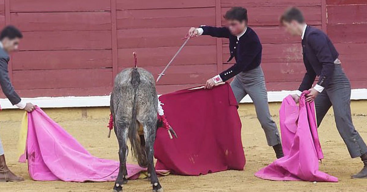 bull ears hack off spain.jpg?resize=412,275 - Video Of The Bull’s Ears Being Hacked Off To Give Children As A Trophy Sparked Outrage