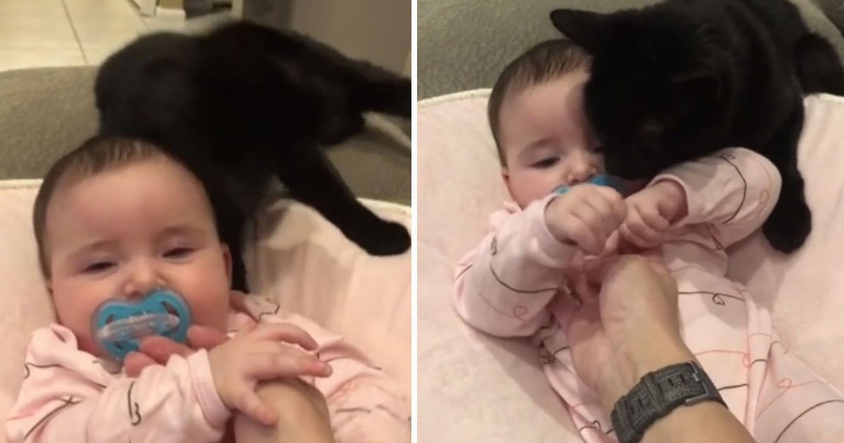 cat cuddling baby.jpg?resize=1200,630 - Heartwarming Video Of A Cat Cuddling A Baby Girl