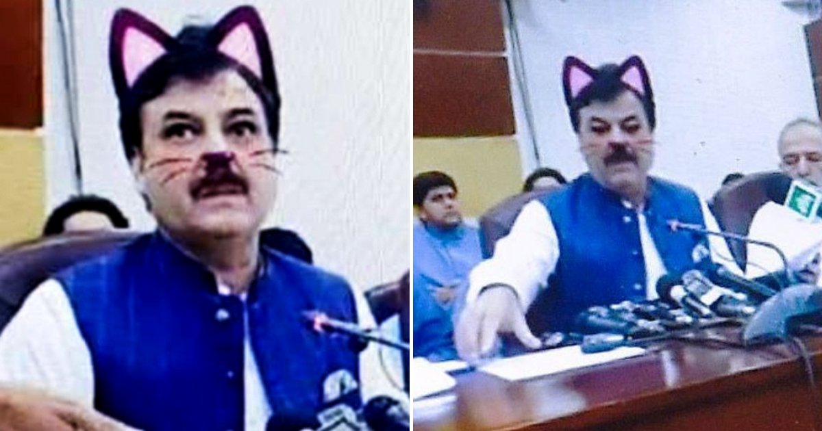 cat6.png?resize=412,275 - Politician Accidentally Leaves Cat Filter On As He Livestreams Press Conference