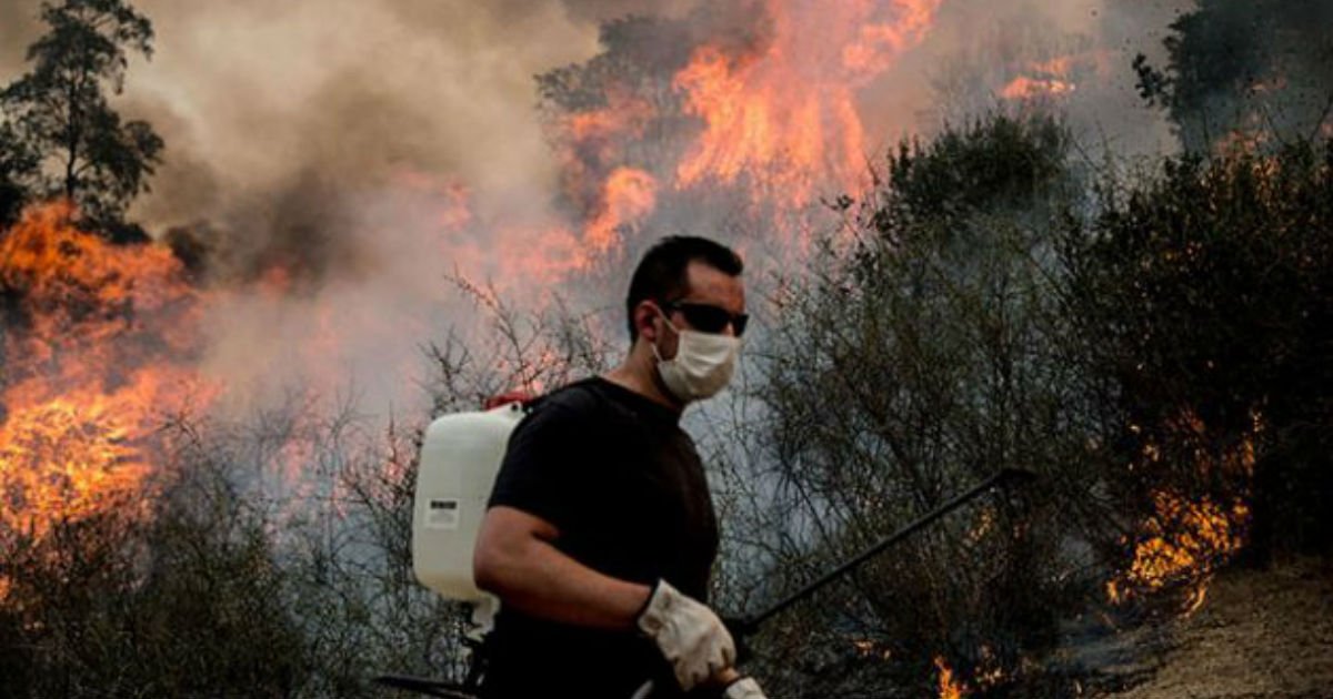 chile fires state of emergency gettyimages 632318676 630x417.jpg?resize=1200,630 - "무기계약직 되려고"... 일부러 '산불' 내고 직접 '신고'한 군청 계약직 근로자