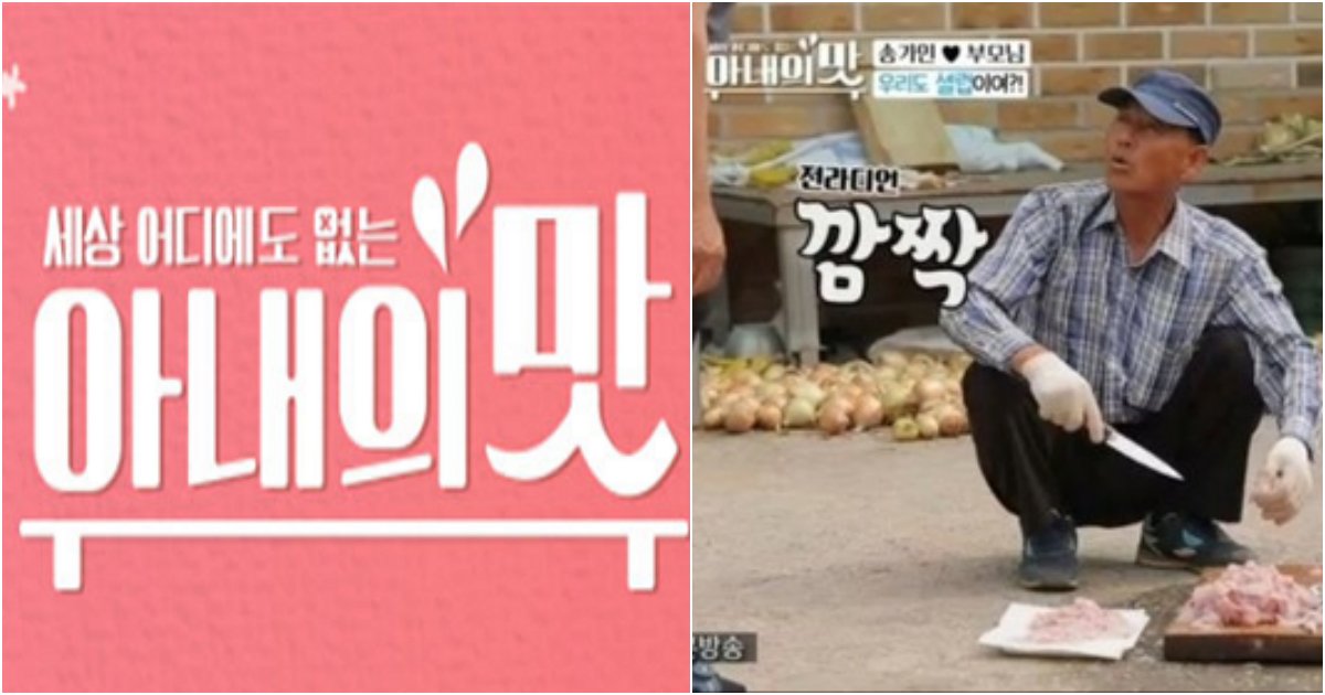 collage 44.png?resize=1200,630 - TV조선 '아내의 맛' 자막으로 빚은 물의.... 또 '일베 논란'