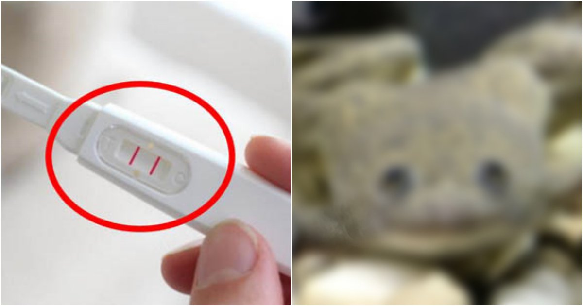 collage 5.png?resize=1200,630 - '임신여부를 개구리로 안다고?'.....기상천외 임신테스트기