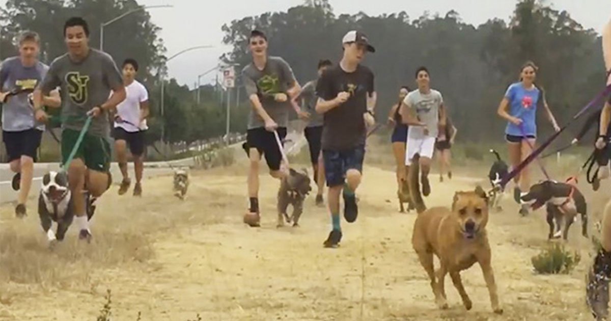 cross country team assigned students to run with dogs to help them get adopted.jpg?resize=412,275 - Cross Country Coach Assigned Students To Run With Dogs To Help Them Get Adopted