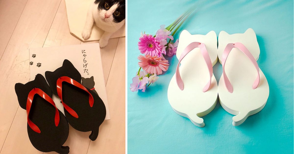 d2 14.png?resize=1200,630 - Japanese Company Created Cat-Shaped Sandals Perfect For Cat Lovers