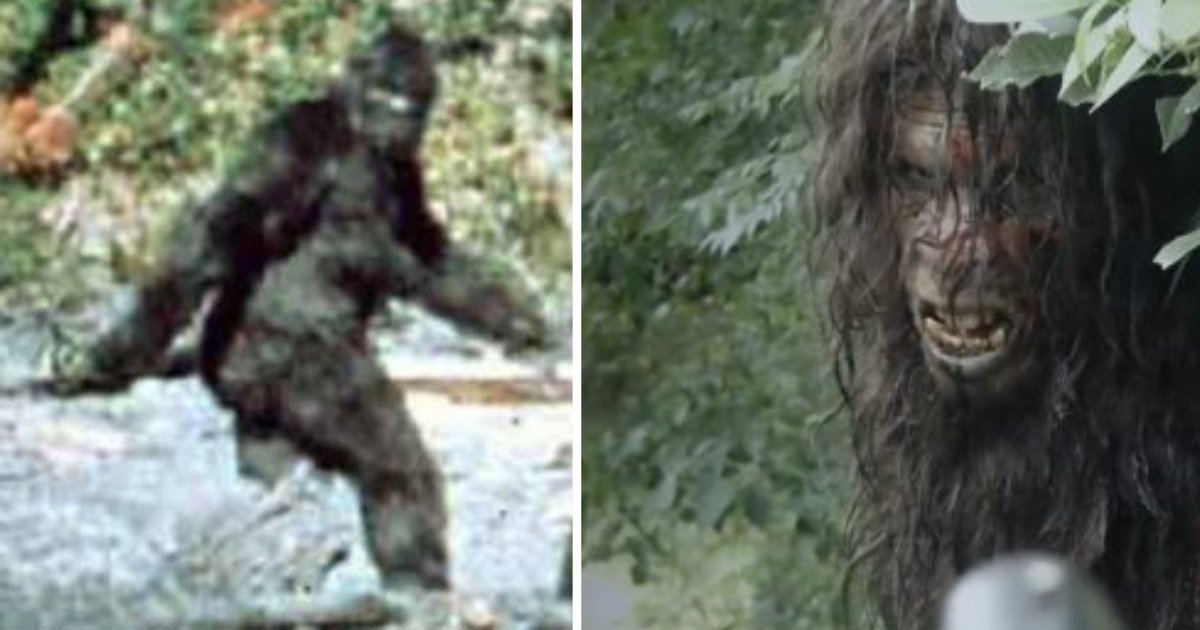 d3 4.png?resize=412,275 - The FBI Released New Information About The Bigfoot