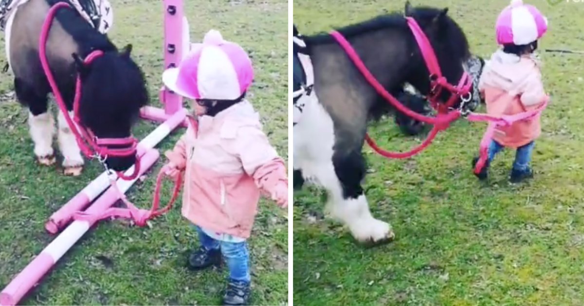 d4 18.png?resize=1200,630 - Adorable Toddler And Pony Bonding Over Obstacle Hurdles Will Make Your Day