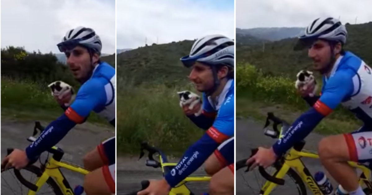 d4 9.png?resize=412,275 - A Heroic Cyclist Found an Abandoned Kitten in The Woods