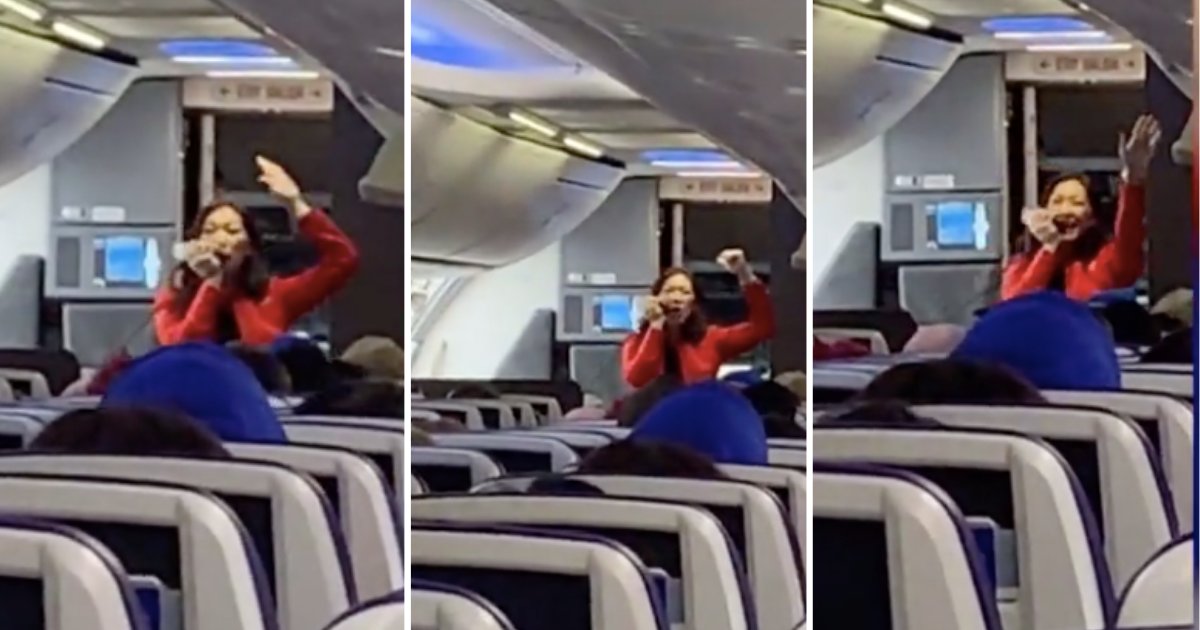 d5 13.png?resize=412,275 - The Flight Attendant Performed an Amazing Rap for the Passengers