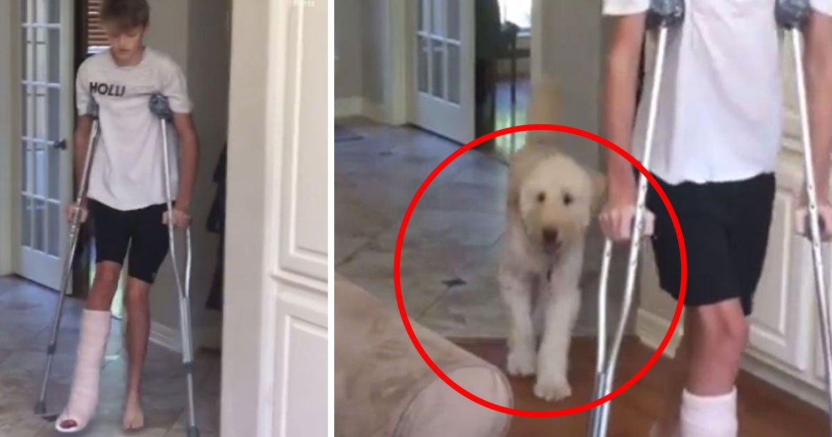 dog copies friend walk.jpg?resize=1200,630 - Dog Copied The Walk Of His Friend Who Was Using Crutches After He Broke His Ankle