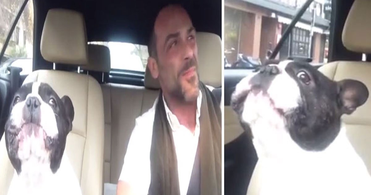 dog sings owner.jpg?resize=1200,630 - This Dog Is A Better Singer Than All Of Us As He Sings Along With His Owner