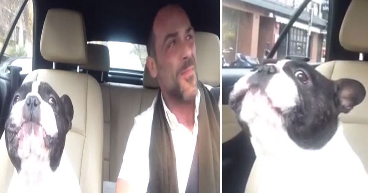 dog sings owner.jpg?resize=412,232 - This Dog Is A Better Singer Than All Of Us As He Sings Along With His Owner