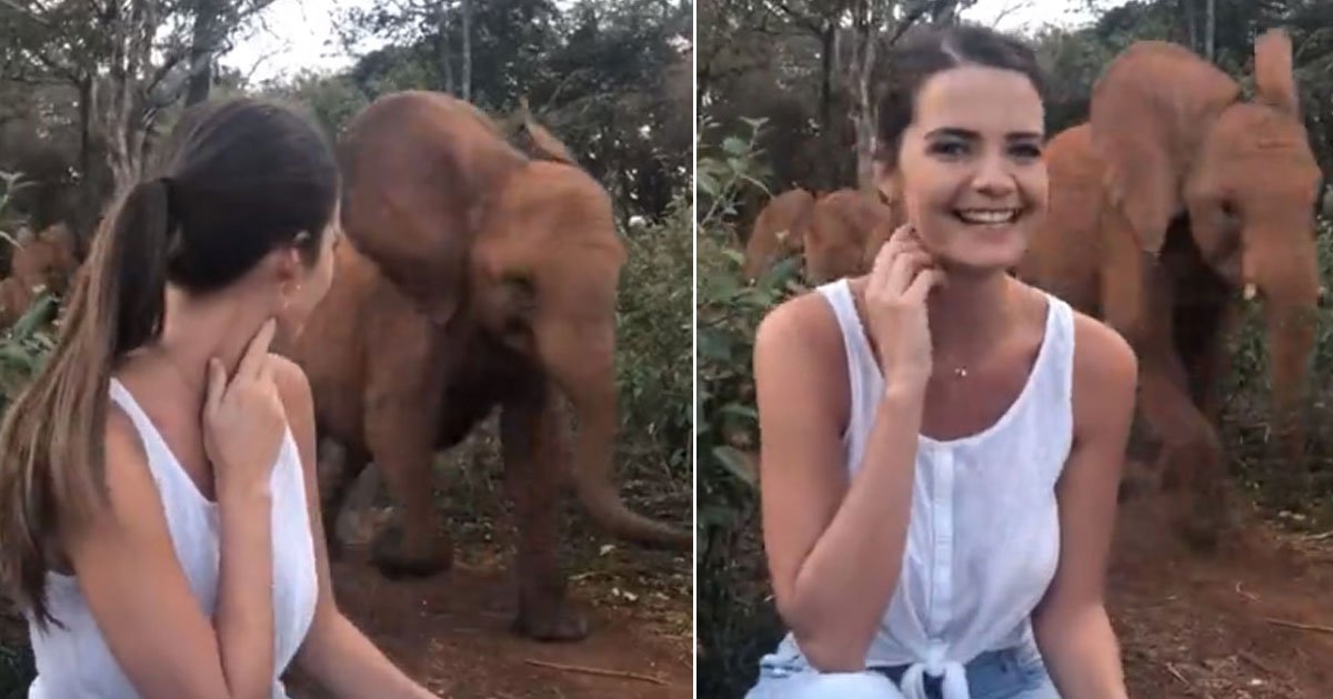 elephant stampede.jpg?resize=1200,630 - Woman Witnessed Baby Elephants Stampede In Kenya