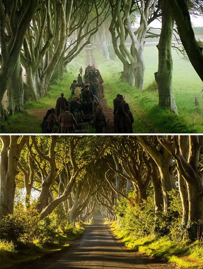 Dark Hedges, Northern Ireland - Kingsroad