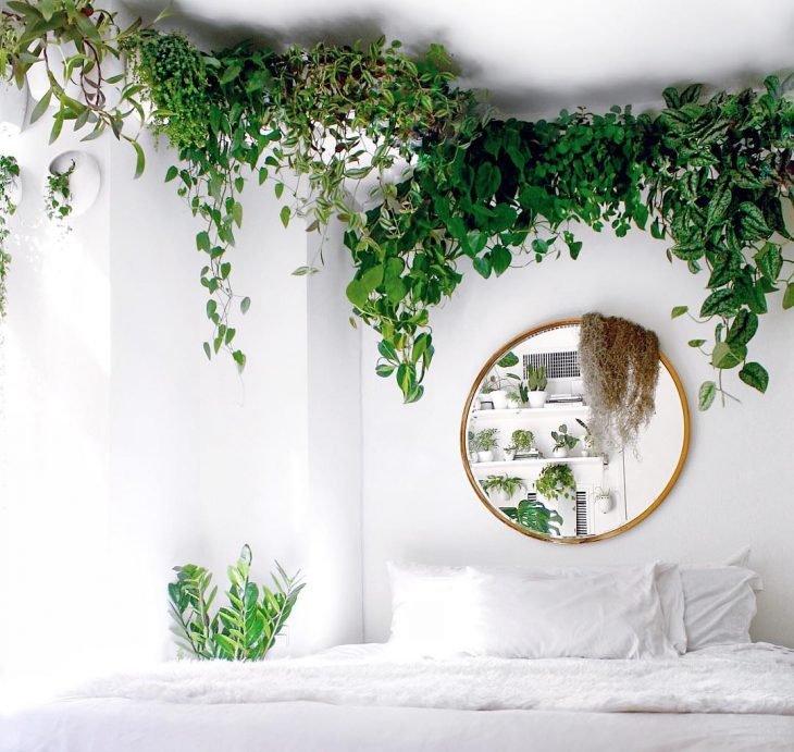 Habitación con plantas verdes que decoran al rededor del techo mientras cuelgan y se reflejan en un espejo redondo 