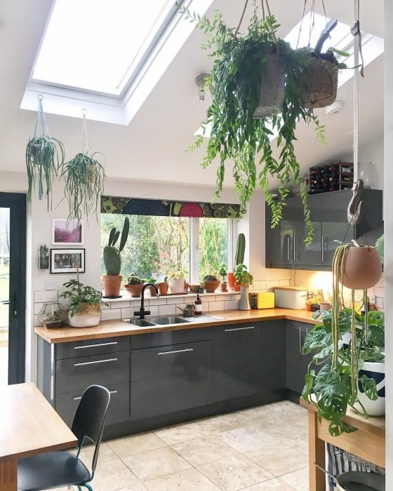 Cocina de una casa con gabinetes de color gris y decorada con plantas de diferentes tipos que cuelgan en el techo y se encuentran colocadas en el ventanal 